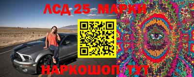 mdma Можга