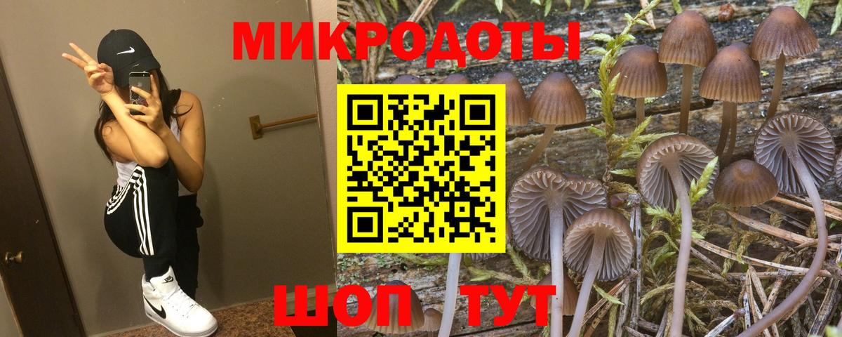 Галлюциногенные грибы Psilocybe Среднеуральск